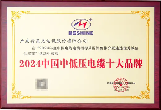 Top 10 China LV/MV Cable Brands 2024