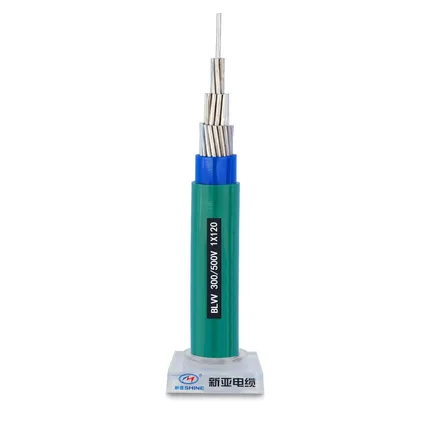 BLVV 120