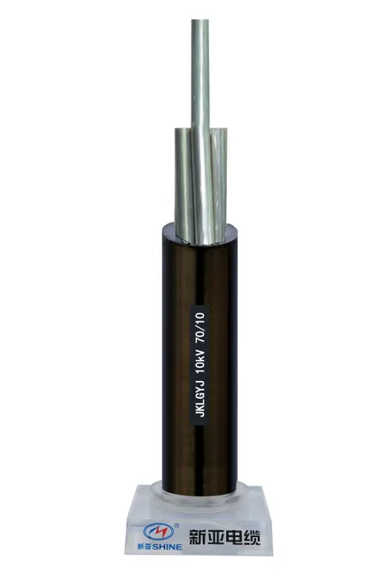 JKLGYJ 10kV 70-10